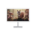Bigme B251 E-ink computer monitor, 3200*1800 3K Resolution, cold/warm front light, eye-friendly e-paper monitor ebook reading